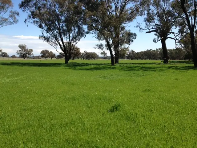 Third view of Homely rural property listing, Old Cootamundra Road, Cootamundra NSW 2590