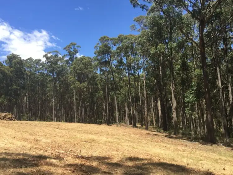 Second view of Homely land listing, LOT 2 Wallaby Track, Mollongghip VIC 3352