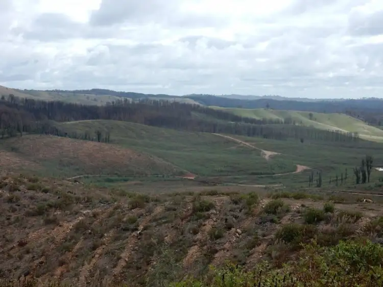 Main view of Homely rural property listing, 4494 TUMBARUMBA ROAD, Humula NSW 2652
