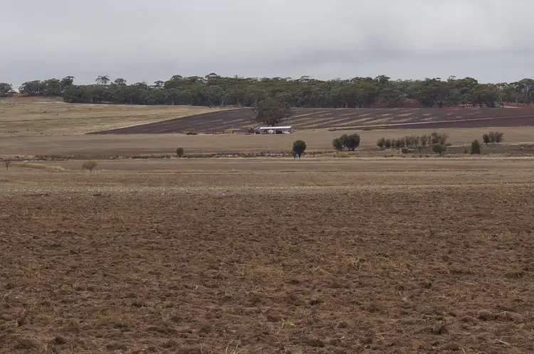 Fifth view of Homely rural property listing, LOT 2140 Doodenanning Road, York WA 6302