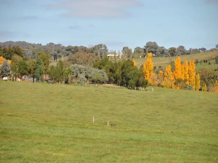 Second view of Homely rural property listing, 1190 Mitchell Highway, Orange NSW 2800