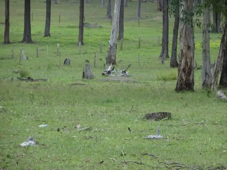 Fifth view of Homely land listing, LOT Lot 32, 33 Forest Glenn Road, Limeburners Creek NSW 2324