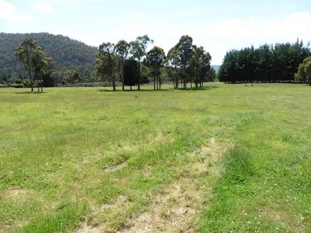 Fifth view of Homely rural property listing, * Ten Mile Track, Scottsdale TAS 7260