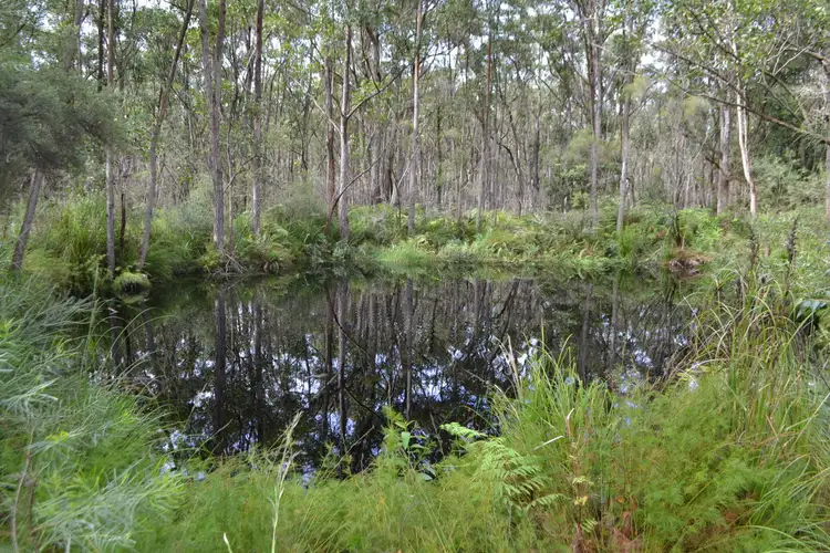 Seventh view of Homely house listing, Address available on request