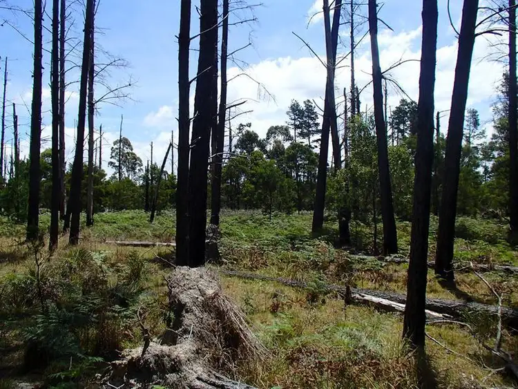 Second view of Homely land listing, LOT 169 Panoramic Drive, Stanthorpe QLD 4380