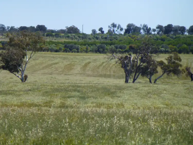 Fifth view of Homely land listing, LOT 2 Maitland Road, Beverley WA 6304