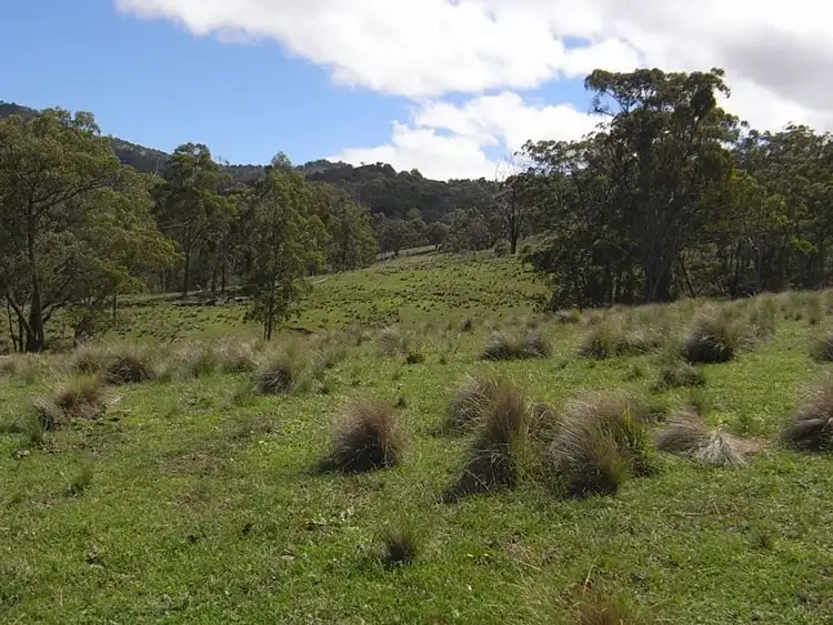 Fourth view of Homely rural property listing, Wheelihans Creek, Timor Road, Timor NSW 2338