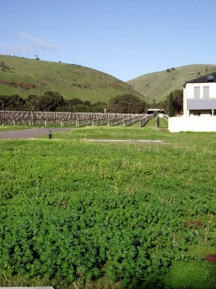 Main view of Homely land listing, Lot 266 The Vines Dr, Normanville SA 5204