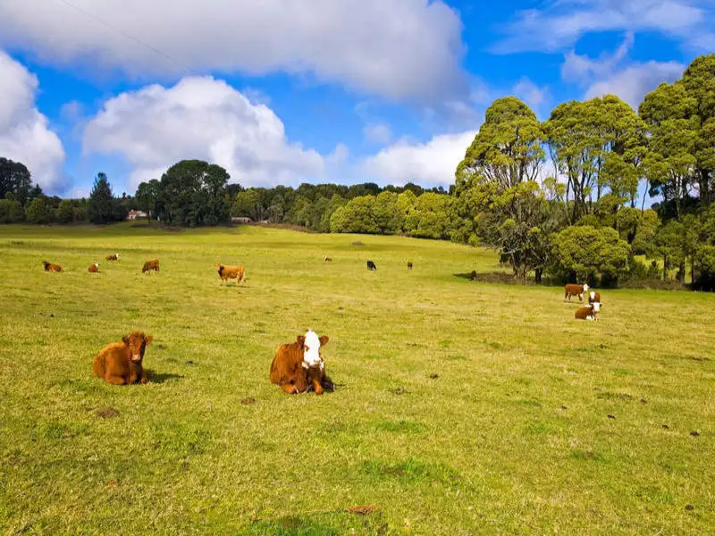 Main view of Homely land listing, 3750 Colac Lavers Hill Road, Ferguson VIC 3237