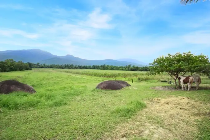 Third view of Homely rural property listing, 165 Barbagallo Road, Aloomba QLD 4871