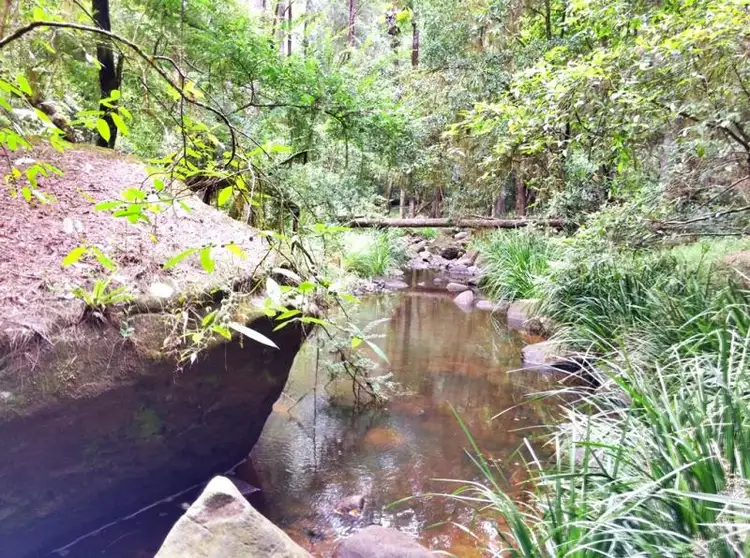 Third view of Homely rural property listing, 1157 Stony Chute Road (Share 21 Avalon), Nimbin NSW 2480