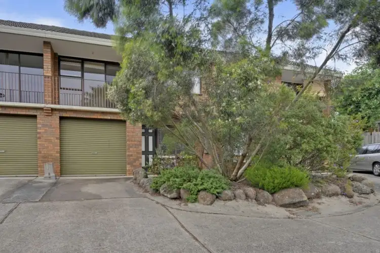 Main view of Homely unit listing, 7/15 Roseneath Street, Traralgon VIC 3844