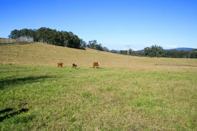 Second view of Homely land listing, 70 Bowdens Lane, Stroud NSW 2425