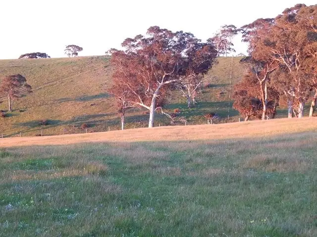 Fifth view of Homely rural property listing, Pcs 15, 16 Bedlam Flat Road, Delamere SA 5204