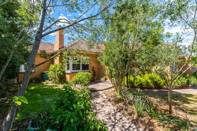 33 Scott Street, Belmont VIC 3216