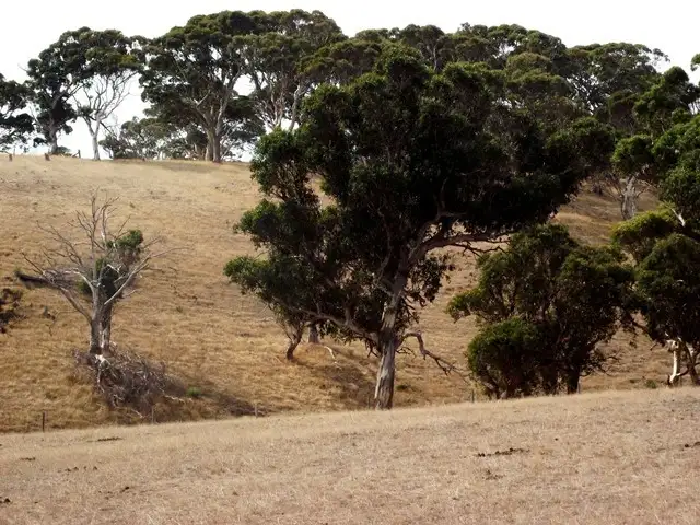 Second view of Homely rural property listing, Lot 51 Bullaparinga Crescent, Delamere SA 5204