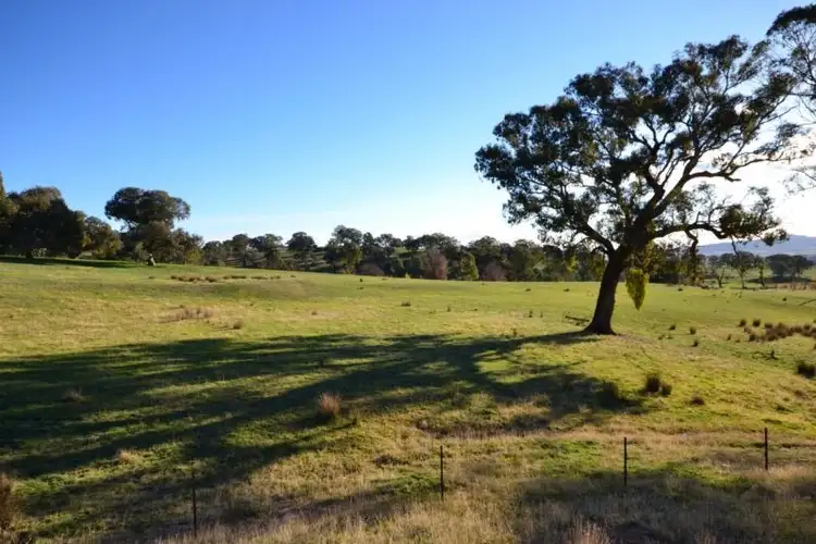 Fifth view of Homely rural property listing, 257 Desmonds Road, Boorolite VIC 3723
