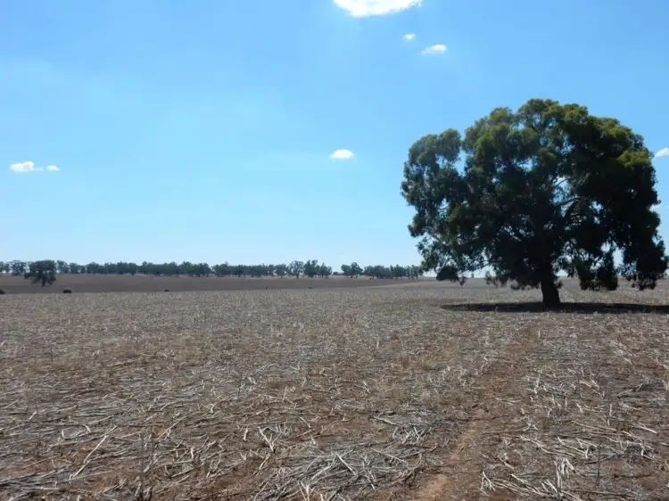 Seventh view of Homely rural property listing, 82 East Millwood Road, Wagga Wagga NSW 2650