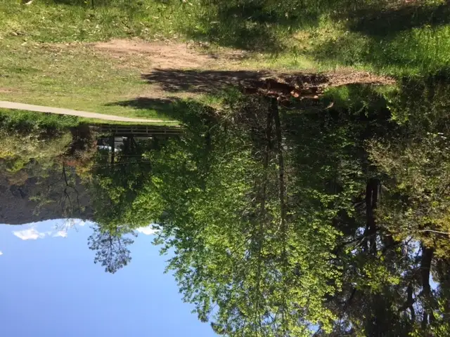 Main view of Homely land listing, 7a Leewood Close, Yarramalong NSW 2259