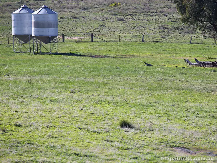 Third view of Homely rural property listing, Gelston Park Road, Gelston Park NSW 2650
