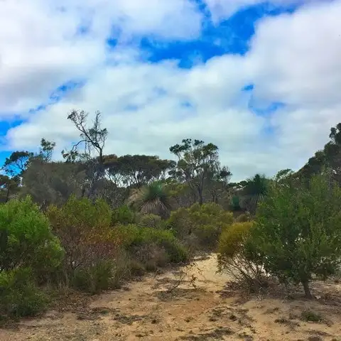 Second view of Homely land listing, LOT 104 Para Avenue, Cape Jervis SA 5204