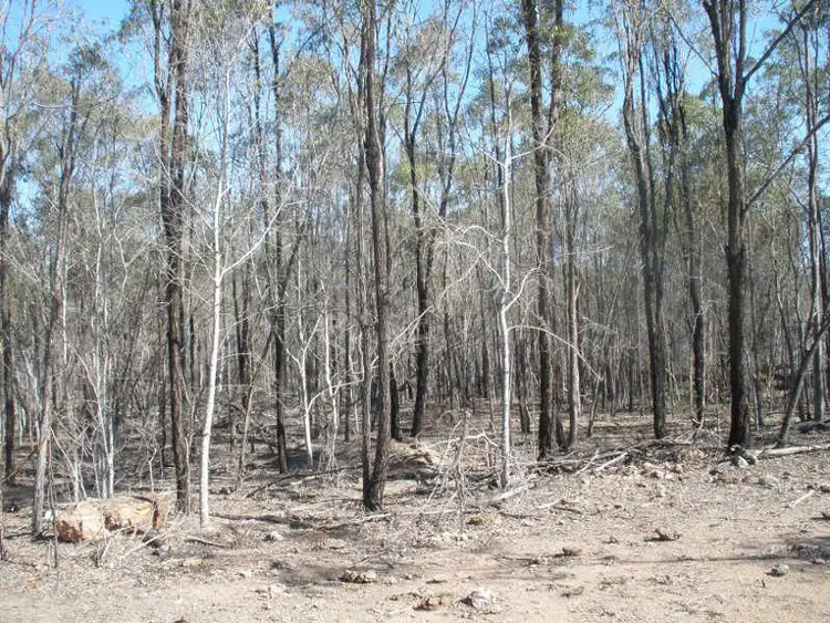 Fifth view of Homely house listing, 5 Coverty Road, Coverty QLD 4613