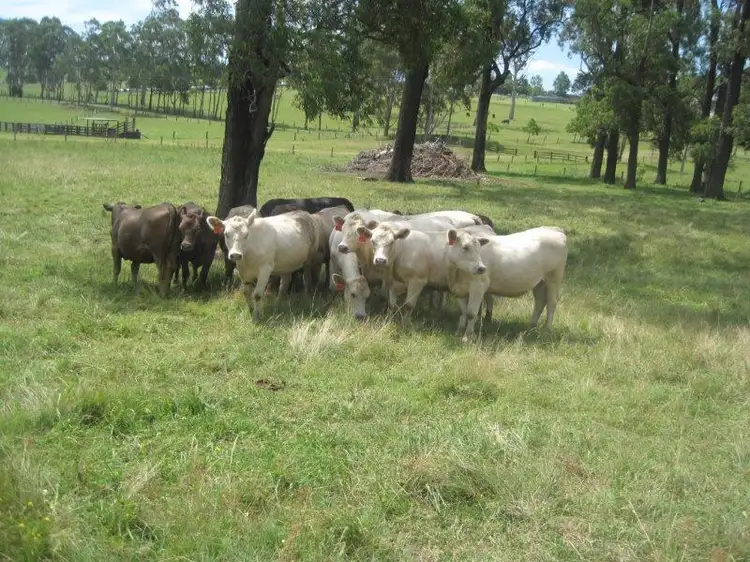 Third view of Homely land listing, 4810 Clarence Town Road, Dungog NSW 2420