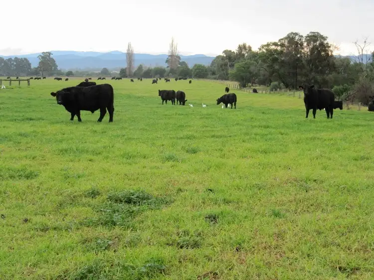 1199 Maffra-Briagolong Road, Boisdale VIC 3860