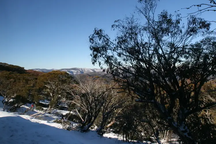 Fifth view of Homely apartment listing, 7/14 The Avenue, Mount Buller VIC 3723