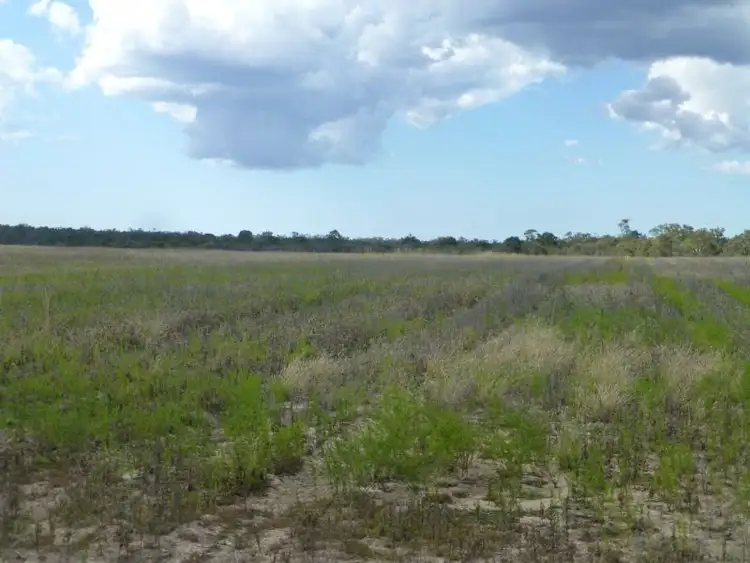Fourth view of Homely rural property listing, 510 ABINGTON ROAD, Abington QLD 4660