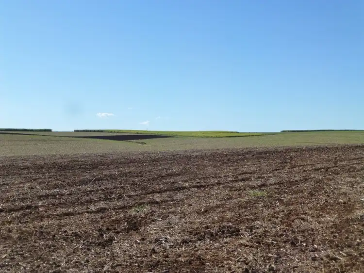 Seventh view of Homely rural property listing, 108 DOWLINGS ROAD, North Isis QLD 4660