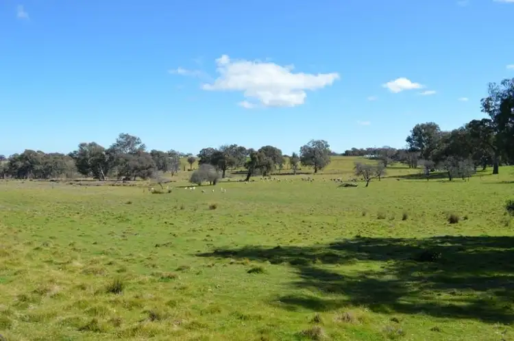 Second view of Homely rural property listing, CA4,5,9,9A Beechworth Wangaratta Road, Beechworth VIC 3747