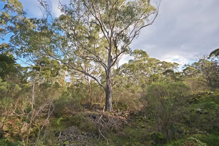 Seventh view of Homely rural property listing, Lot 14A McInnes Road, Macarthur VIC 3286