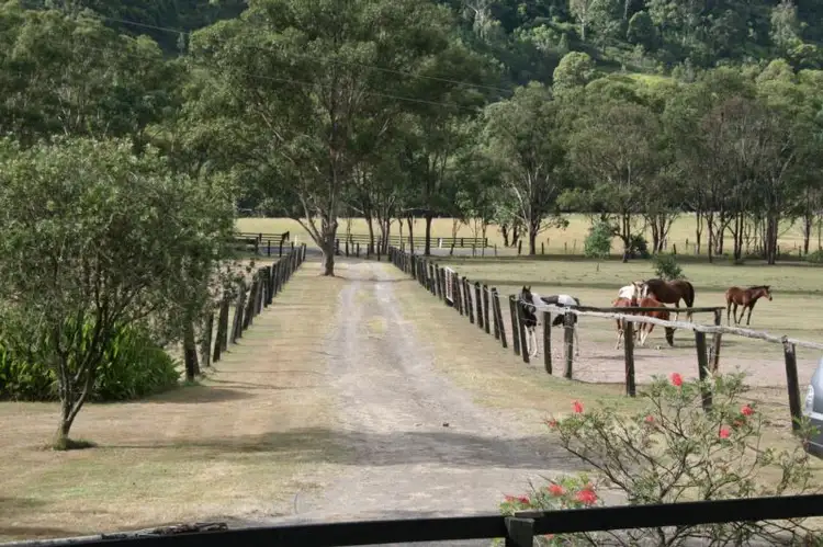 Second view of Homely rural property listing, 163 Sugarloaf Road, Dungog NSW 2420