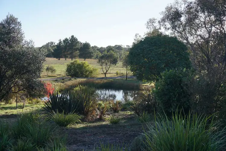 Third view of Homely house listing, 5007 Gundaroo Road, Gundaroo NSW 2620