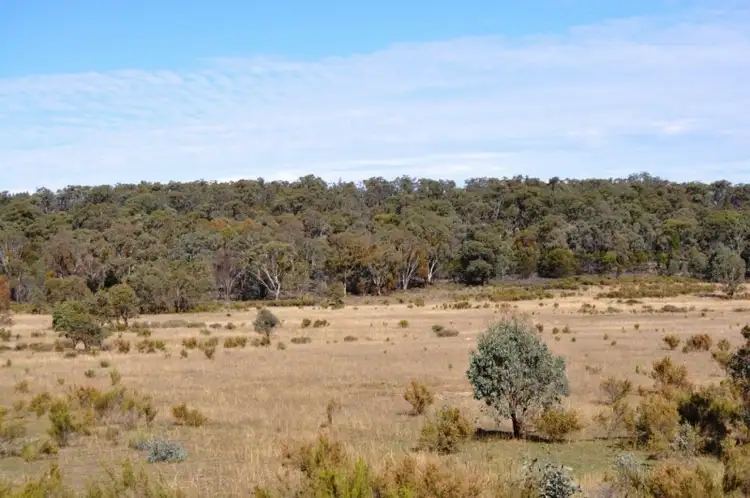 Fifth view of Homely rural property listing, 01072 Blue Springs Road, Gulgong NSW 2852