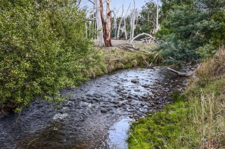 Fifth view of Homely rural property listing, 3635 Melba Highway, Glenburn VIC 3717