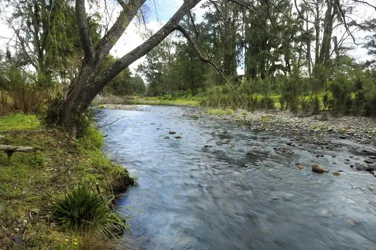 Second view of Homely rural property listing, 126 Salisbury Road, Dungog NSW 2420