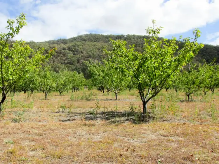 Second view of Homely rural property listing, LOT 1, 111 Orchard Drive, Glenrowan VIC 3675