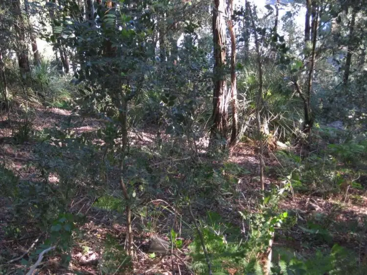 Second view of Homely land listing, 40 Patonga Drive, Patonga NSW 2256