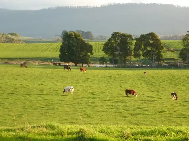 Fifth view of Homely rural property listing, West Minstone Road, Scottsdale TAS 7260