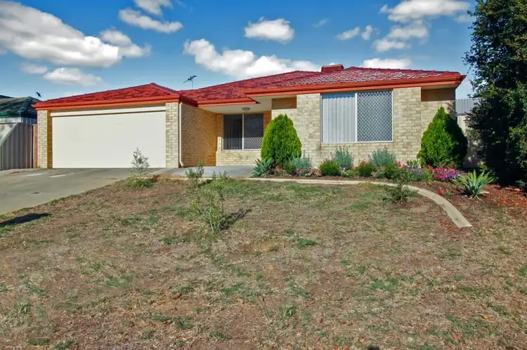 20 Orelia Avenue, Orelia WA 6167