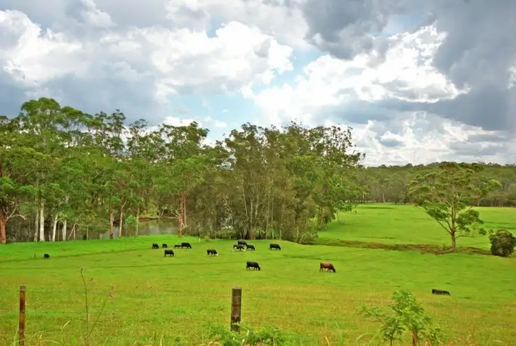 Fourth view of Homely land listing, LOT 3 Princes Highway, Wandandian NSW 2540