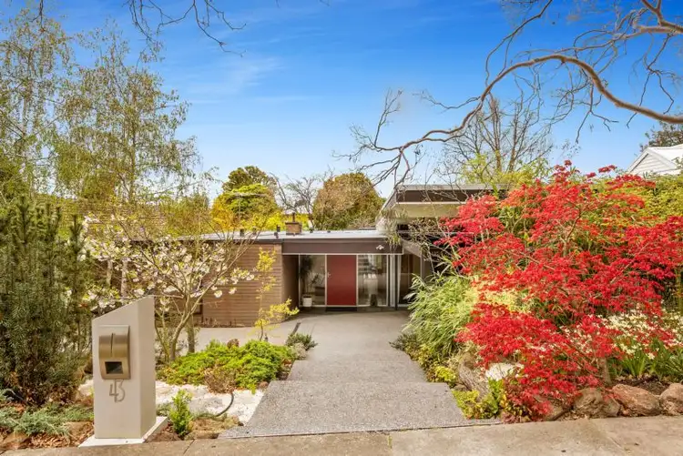 43 Haig Street, Box Hill South VIC 3128