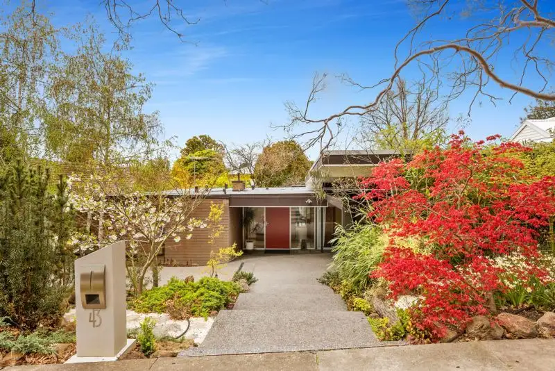 Main view of Homely house listing, 43 Haig Street, Box Hill South VIC 3128