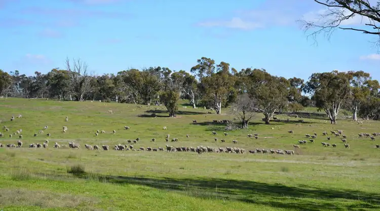 Second view of Homely land listing, 3584 Kings Highway, Bungendore NSW 2621