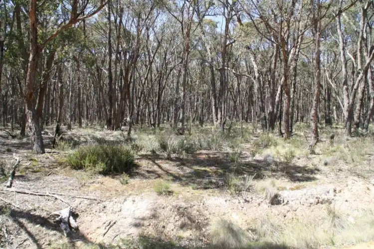 Sixth view of Homely land listing, 13 Jacks Road, Linton VIC 3360