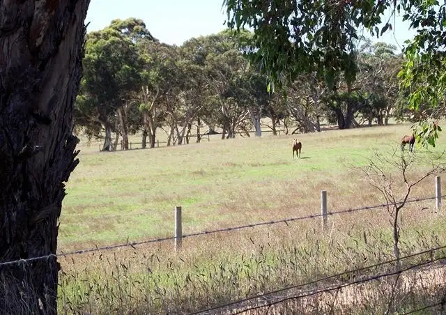 Fifth view of Homely land listing, LOT 2, 2 Bedlam Flat Road, Delamere SA 5204
