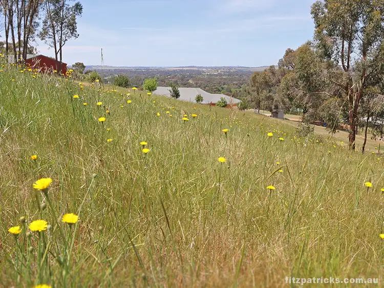 Fifth view of Homely land listing, 4 Mulga Place, Springvale NSW 2650