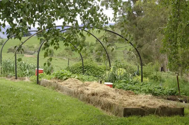 Seventh view of Homely rural property listing, *East Maurice Road, Ringarooma TAS 7263